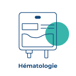 Icon Hématologie